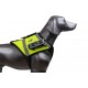 K9rec Dual View med Ghost S kamera