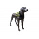 K9rec Dual View med Ghost S kamera