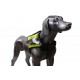 K9rec Dual View med Ghost S kamera